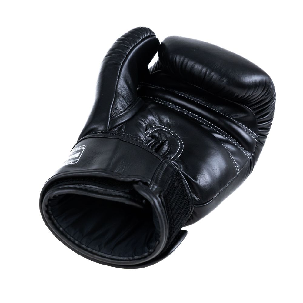 TWINS (KICK)BOXING GLOVES BG-N V2 BLACK